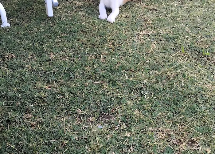 Luminous Luxury Aparthotel